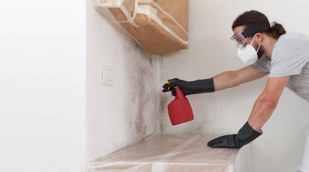 Professional Mold Remediation technician working in Fort Myers Beach, FL